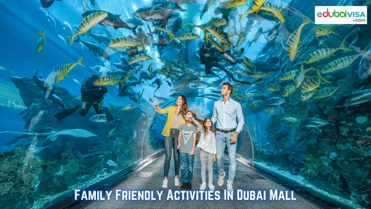 Family Friendly Activities In Dubai Mall